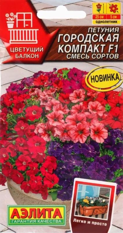 петуния городская компакт f1, смесь сортов семена, петуния городская компакт f1, смесь сортов семена купить
петуния городская компакт f1, смесь сортов семена, петуния городская компакт f1, смесь сортов семена купить