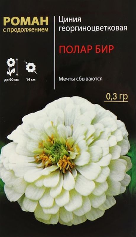 циния георгиноцветковая полар бир семена, циния георгиноцветковая полар бир семена купить
циния георгиноцветковая полар бир семена, циния георгиноцветковая полар бир семена купить