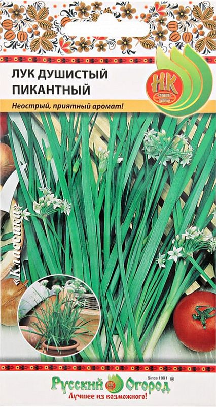 лук душистый пикантный (горный чеснок) семена, лук душистый пикантный (горный чеснок) семена купить
лук душистый пикантный (горный чеснок) семена, лук душистый пикантный (горный чеснок) семена купить
