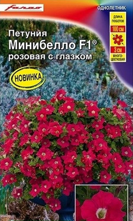 петуния мини минибелло f1 розовая с глазком многоцветковая® семена, петуния мини минибелло f1 розовая с глазком многоцветковая® семена купить
петуния мини минибелло f1 розовая с глазком многоцветковая® семена, петуния мини минибелло f1 розовая с глазком многоцветковая® семена купить