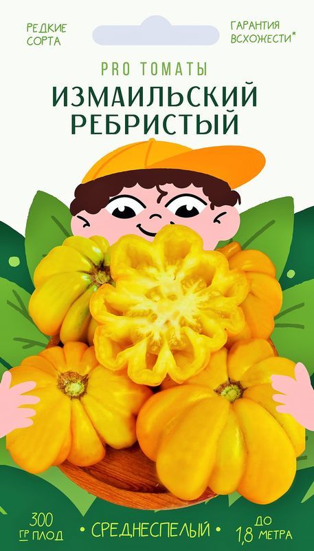 томат измаильский ребристый семена, томат измаильский ребристый семена купить
томат измаильский ребристый семена, томат измаильский ребристый семена купить