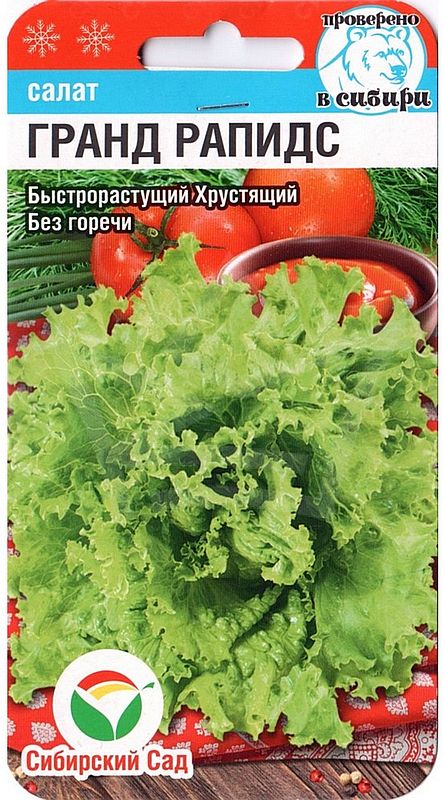 салат полукочанный гранд рапидс семена, салат полукочанный гранд рапидс семена купить
салат полукочанный гранд рапидс семена, салат полукочанный гранд рапидс семена купить