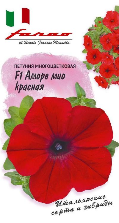 петуния аморе мио красная f1,серия фарао семена, петуния аморе мио красная f1,серия фарао семена купить
петуния аморе мио красная f1,серия фарао семена, петуния аморе мио красная f1,серия фарао семена купить