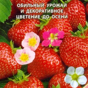 клубника f1 остров сокровищ семена, клубника f1 остров сокровищ семена купить
клубника f1 остров сокровищ семена, клубника f1 остров сокровищ семена купить