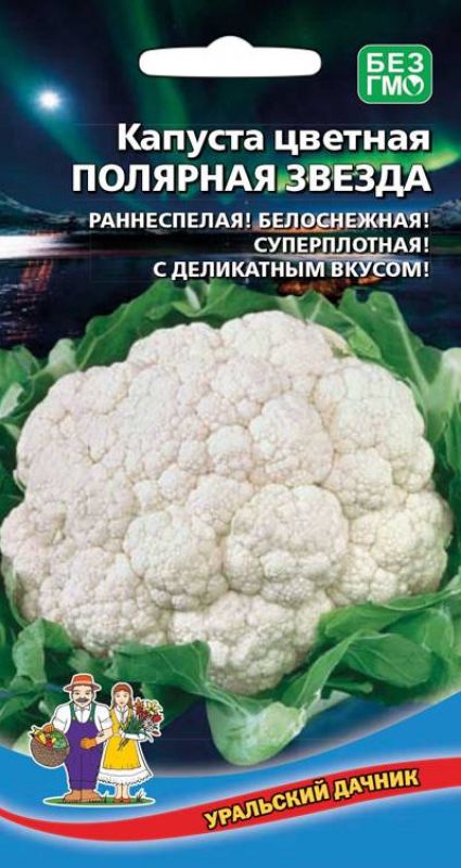 капуста цветная полярная звезда семена, капуста цветная полярная звезда семена купить
капуста цветная полярная звезда семена, капуста цветная полярная звезда семена купить
