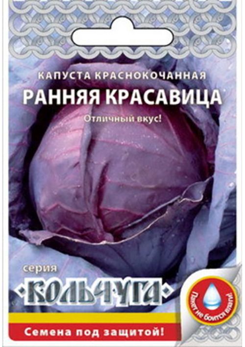 капуста к/к ранняя красавица "кольчуга new" семена, капуста к/к ранняя красавица "кольчуга new" семена купить
капуста к/к ранняя красавица "кольчуга new" семена, капуста к/к ранняя красавица "кольчуга new" семена купить