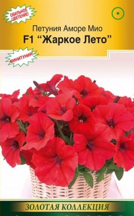 петуния мини аморе мио f1, жаркое лето семена, петуния мини аморе мио f1, жаркое лето семена купить
петуния мини аморе мио f1, жаркое лето семена, петуния мини аморе мио f1, жаркое лето семена купить