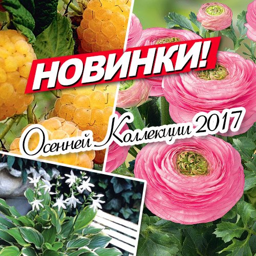 Русский огород семейный сад каталог семян 2018 Русский огород семейный сад каталог семян 2018