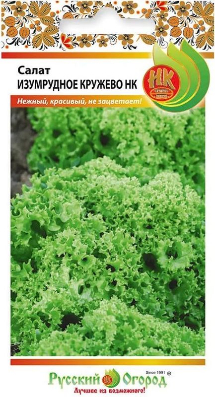 салат листовой изумрудное кружево нк семена, салат листовой изумрудное кружево нк семена купить
салат листовой изумрудное кружево нк семена, салат листовой изумрудное кружево нк семена купить