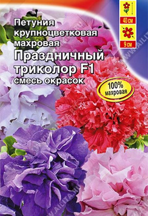 петуния праздничный триколор f1 крупноцветковая махровая, смесь окрасок семена, петуния праздничный триколор f1 крупноцветковая махровая, смесь окрасок семена купить
петуния праздничный триколор f1 крупноцветковая махровая, смесь окрасок семена, петуния праздничный триколор f1 крупноцветковая махровая, смесь окрасок семена купить