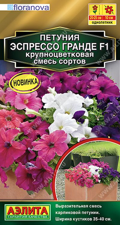 петуния эспрессо гранде f1 крупноцветковая, смесь сортов семена, петуния эспрессо гранде f1 крупноцветковая, смесь сортов семена купить
петуния эспрессо гранде f1 крупноцветковая, смесь сортов семена, петуния эспрессо гранде f1 крупноцветковая, смесь сортов семена купить