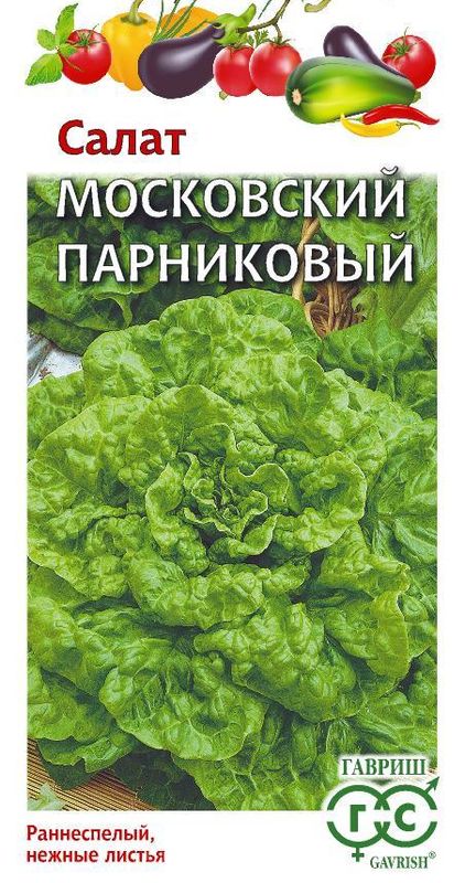 салат листовой московский парниковый семена, салат листовой московский парниковый семена купить
салат листовой московский парниковый семена, салат листовой московский парниковый семена купить