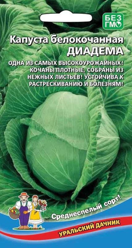 капуста б/к диадема семена, капуста б/к диадема семена купить
капуста б/к диадема семена, капуста б/к диадема семена купить