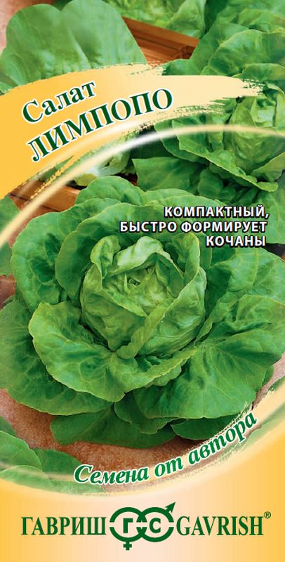 салат кочанный лимпопо мини, маслянистый семена, салат кочанный лимпопо мини, маслянистый семена купить
салат кочанный лимпопо мини, маслянистый семена, салат кочанный лимпопо мини, маслянистый семена купить