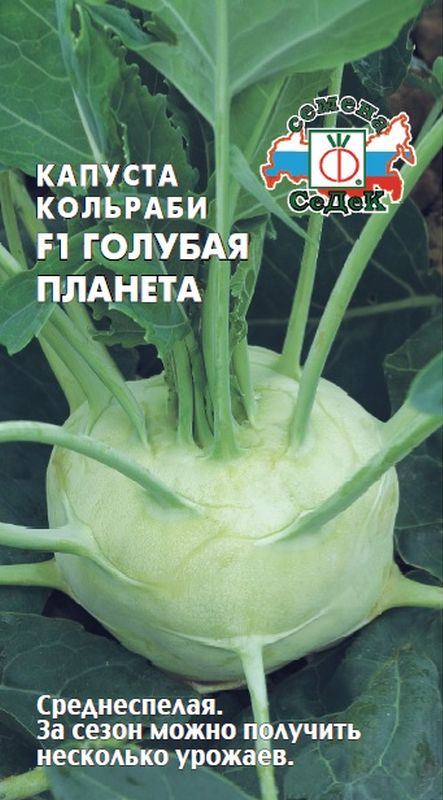 капуста кольраби f1 голубая планета семена, капуста кольраби f1 голубая планета семена купить
капуста кольраби f1 голубая планета семена, капуста кольраби f1 голубая планета семена купить