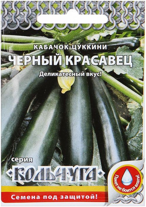 кабачок цуккини черный красавец "кольчуга new" семена, кабачок цуккини черный красавец "кольчуга new" семена купить
кабачок цуккини черный красавец "кольчуга new" семена, кабачок цуккини черный красавец "кольчуга new" семена купить