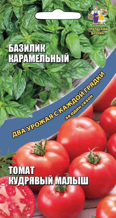 базилик карамельный + томат кудрявый малыш семена, базилик карамельный + томат кудрявый малыш семена купить
базилик карамельный + томат кудрявый малыш семена, базилик карамельный + томат кудрявый малыш семена купить