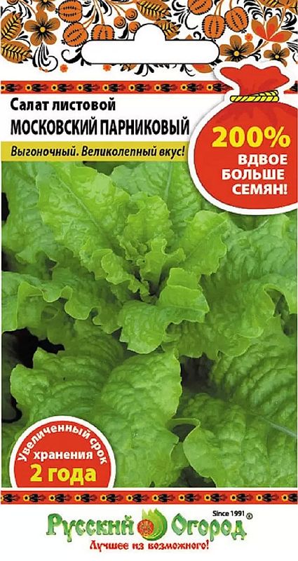салат листовой московский парниковый семена, салат листовой московский парниковый семена купить
салат листовой московский парниковый семена, салат листовой московский парниковый семена купить
