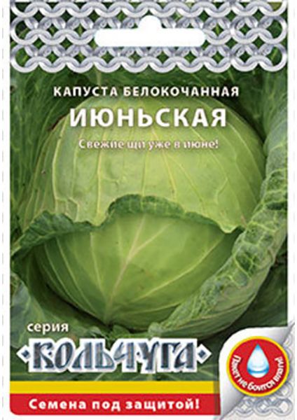 капуста б/к июньская "кольчуга new" семена, капуста б/к июньская "кольчуга new" семена купить
капуста б/к июньская "кольчуга new" семена, капуста б/к июньская "кольчуга new" семена купить