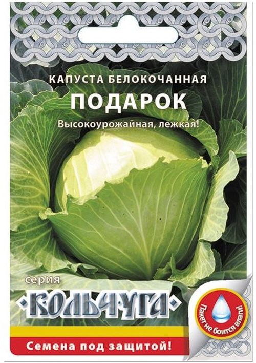 капуста б/к подарок "кольчуга new" семена, капуста б/к подарок "кольчуга new" семена купить
капуста б/к подарок "кольчуга new" семена, капуста б/к подарок "кольчуга new" семена купить