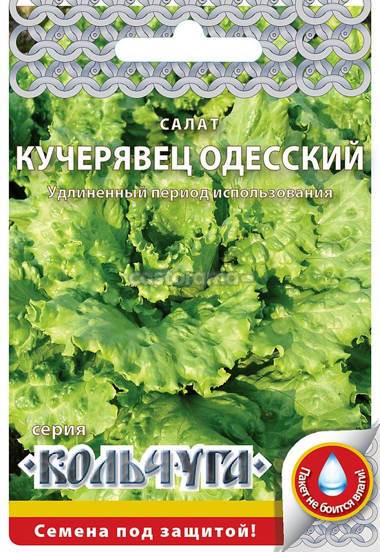 салат кочанный кучерявец одесский "кольчуга new" семена, салат кочанный кучерявец одесский "кольчуга new" семена купить
салат кочанный кучерявец одесский "кольчуга new" семена, салат кочанный кучерявец одесский "кольчуга new" семена купить