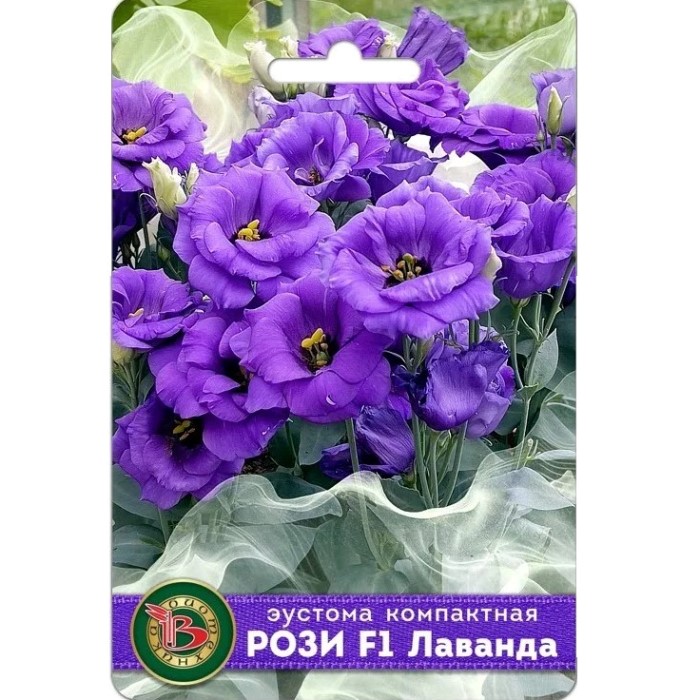 эустома (лизиантус) компактная махровая рози f1 лаванда семена, эустома (лизиантус) компактная махровая рози f1 лаванда семена купить
эустома (лизиантус) компактная махровая рози f1 лаванда семена, эустома (лизиантус) компактная махровая рози f1 лаванда семена купить