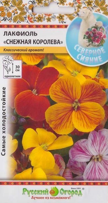 лакфиоль снежная королева, смесь семена, лакфиоль снежная королева, смесь семена купить
лакфиоль снежная королева, смесь семена, лакфиоль снежная королева, смесь семена купить