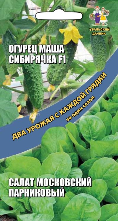 огурец маша сибирячка f1 + салат московский парниковый семена, огурец маша сибирячка f1 + салат московский парниковый семена купить
огурец маша сибирячка f1 + салат московский парниковый семена, огурец маша сибирячка f1 + салат московский парниковый семена купить