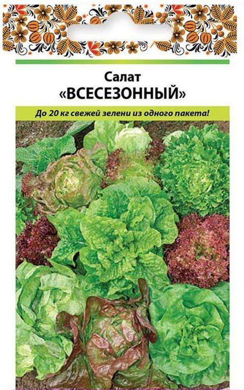 салат кочанный всесезонный, смесь семена, салат кочанный всесезонный, смесь семена купить
салат кочанный всесезонный, смесь семена, салат кочанный всесезонный, смесь семена купить