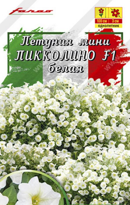 петуния мини пикколино f1 белая семена, петуния мини пикколино f1 белая семена купить
петуния мини пикколино f1 белая семена, петуния мини пикколино f1 белая семена купить