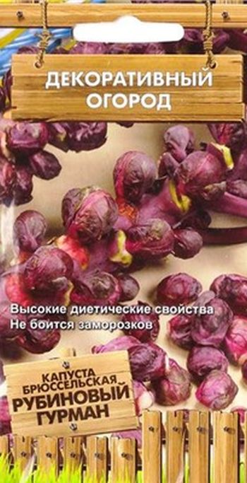 капуста брюссельская рубиновый гурман семена, капуста брюссельская рубиновый гурман семена купить
капуста брюссельская рубиновый гурман семена, капуста брюссельская рубиновый гурман семена купить