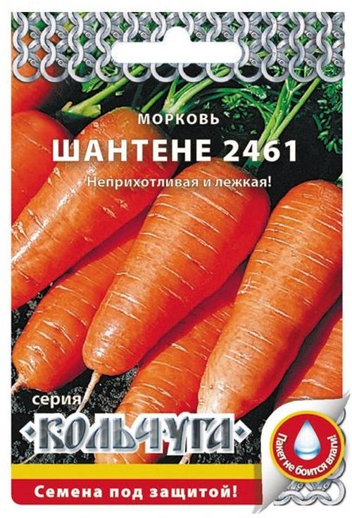 морковь шантенэ 2461 "кольчуга new" семена, морковь шантенэ 2461 "кольчуга new" семена купить
морковь шантенэ 2461 "кольчуга new" семена, морковь шантенэ 2461 "кольчуга new" семена купить
