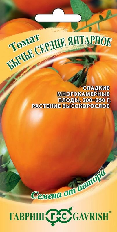 томат бычье сердце янтарное семена, томат бычье сердце янтарное семена купить
томат бычье сердце янтарное семена, томат бычье сердце янтарное семена купить