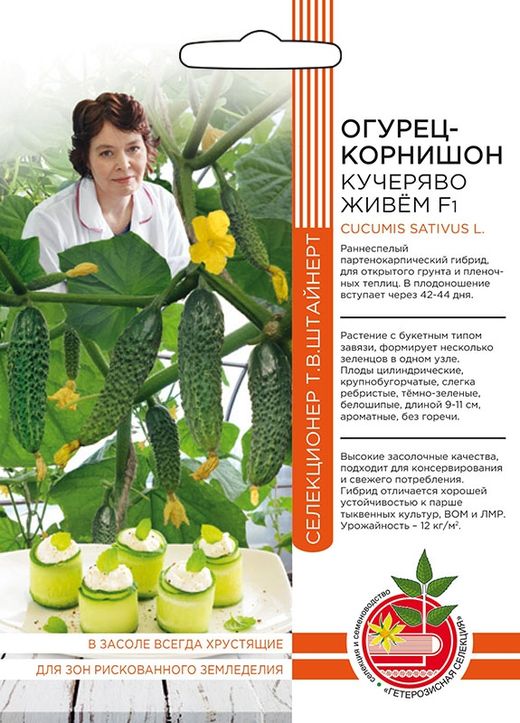 огурец кучеряво живем f1 корнишон семена, огурец кучеряво живем f1 корнишон семена купить
огурец кучеряво живем f1 корнишон семена, огурец кучеряво живем f1 корнишон семена купить