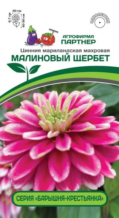 цинния махровая барышня-крестьянка малиновый щербет семена, цинния махровая барышня-крестьянка малиновый щербет семена купить
цинния махровая барышня-крестьянка малиновый щербет семена, цинния махровая барышня-крестьянка малиновый щербет семена купить