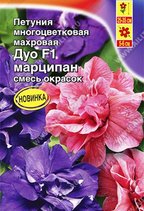 петуния дуо марципан f1 многоцветковая махровая, смесь окрасок семена, петуния дуо марципан f1 многоцветковая махровая, смесь окрасок семена купить
петуния дуо марципан f1 многоцветковая махровая, смесь окрасок семена, петуния дуо марципан f1 многоцветковая махровая, смесь окрасок семена купить