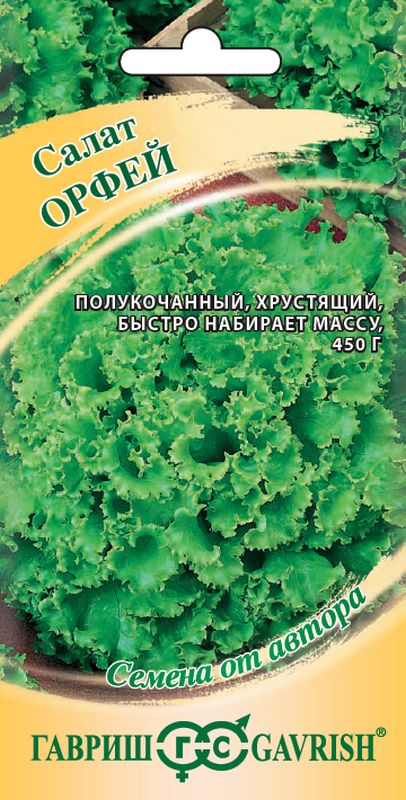 салат полукочанный орфей хрустящий,зеленый семена, салат полукочанный орфей хрустящий,зеленый семена купить
салат полукочанный орфей хрустящий,зеленый семена, салат полукочанный орфей хрустящий,зеленый семена купить