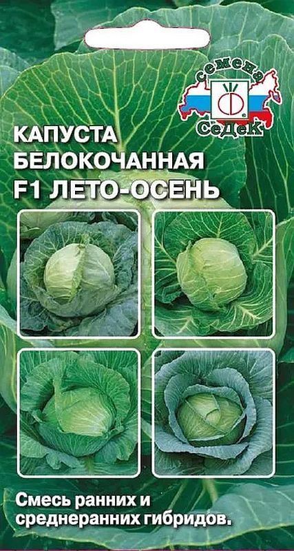 капуста б/к f1 лето-осень, смесь семена, капуста б/к f1 лето-осень, смесь семена купить
капуста б/к f1 лето-осень, смесь семена, капуста б/к f1 лето-осень, смесь семена купить