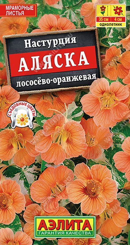 настурция аляска лососево-оранжевая семена, настурция аляска лососево-оранжевая семена купить
настурция аляска лососево-оранжевая семена, настурция аляска лососево-оранжевая семена купить