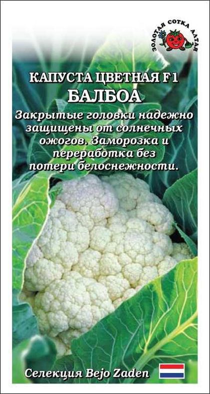 капуста цветная балбоа f1 семена, капуста цветная балбоа f1 семена купить
капуста цветная балбоа f1 семена, капуста цветная балбоа f1 семена купить