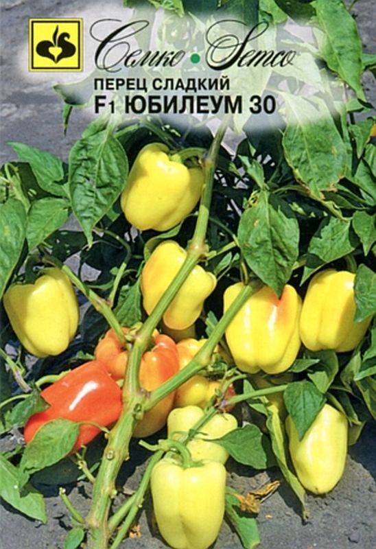 перец сладкий юбилеум семко 30 f1 семена, перец сладкий юбилеум семко 30 f1 семена купить
перец сладкий юбилеум семко 30 f1 семена, перец сладкий юбилеум семко 30 f1 семена купить
