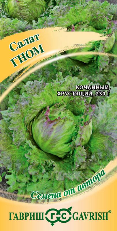 салат кочанный гном мини семена, салат кочанный гном мини семена купить 
салат кочанный гном мини семена, салат кочанный гном мини семена купить