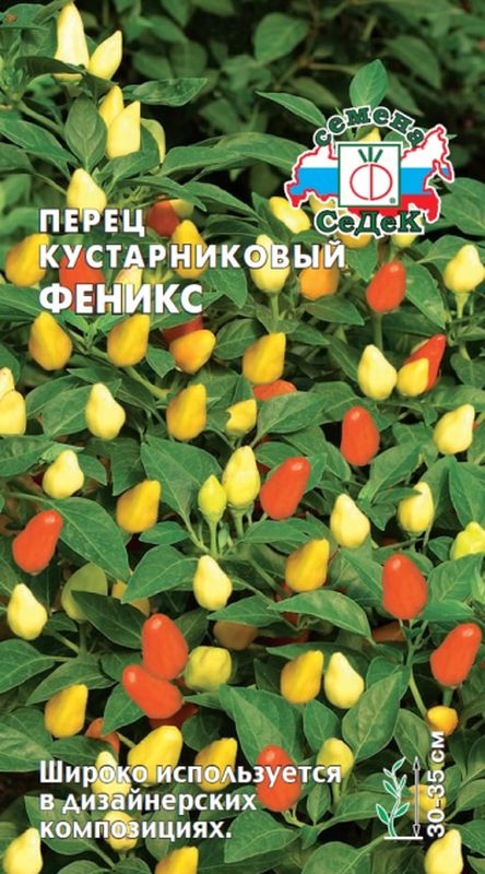 перец кустарниковый феникс семена, перец кустарниковый феникс семена купить 
перец кустарниковый феникс семена, перец кустарниковый феникс семена купить