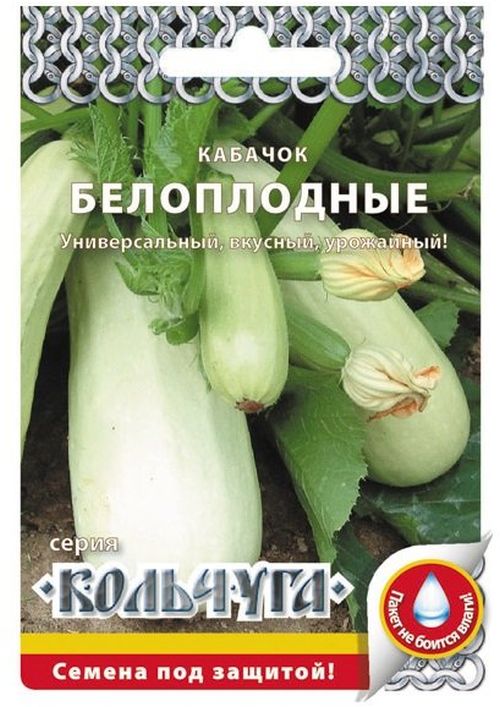 кабачок белоплодные "кольчуга new" семена, кабачок белоплодные "кольчуга new" семена купить
кабачок белоплодные "кольчуга new" семена, кабачок белоплодные "кольчуга new" семена купить
