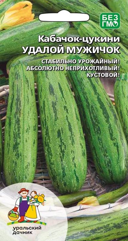 кабачок удалой мужичок- цуккини семена, кабачок удалой мужичок- цуккини семена купить
кабачок удалой мужичок- цуккини семена, кабачок удалой мужичок- цуккини семена купить