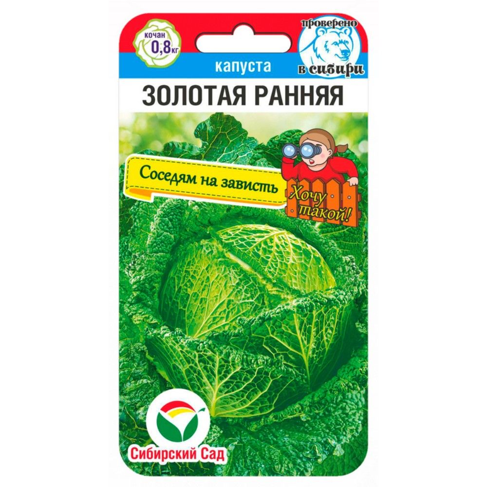 капуста савойская золотая ранняя семена, капуста савойская золотая ранняя семена купить
капуста савойская золотая ранняя семена, капуста савойская золотая ранняя семена купить