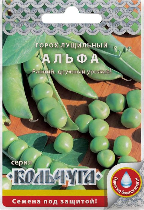 горох лущильный альфа "кольчуга new" семена, горох лущильный альфа "кольчуга new" семена купить
горох лущильный альфа "кольчуга new" семена, горох лущильный альфа "кольчуга new" семена купить