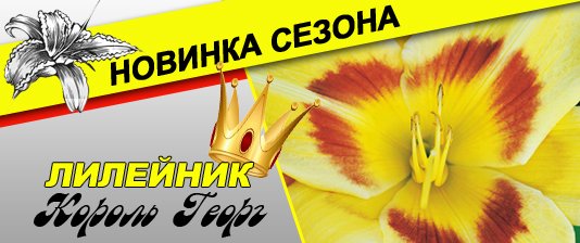 Каталог семян сад огород челябинск Каталог семян сад огород челябинск