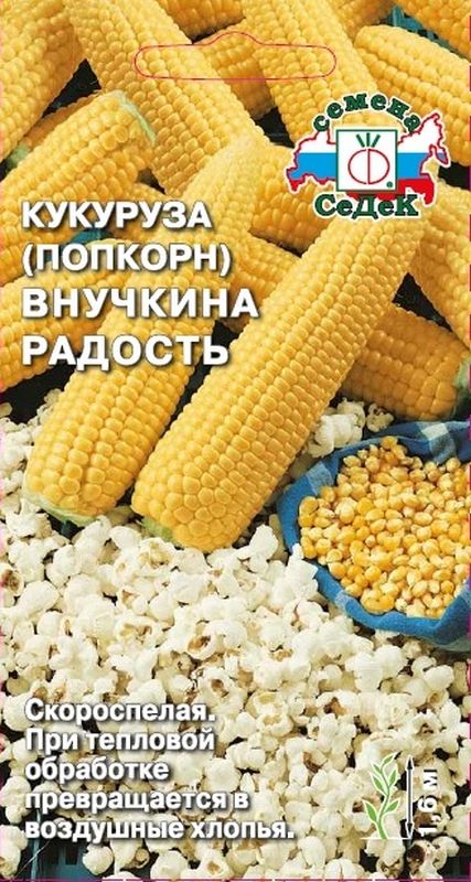 кукуруза внучкина радость (поп-корн) семена, кукуруза внучкина радость (поп-корн) семена купить
кукуруза внучкина радость (поп-корн) семена, кукуруза внучкина радость (поп-корн) семена купить