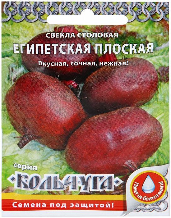 свекла египетская плоская "кольчуга new" семена, свекла египетская плоская "кольчуга new" семена купить
свекла египетская плоская "кольчуга new" семена, свекла египетская плоская "кольчуга new" семена купить